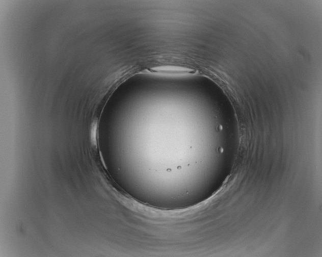 X0000110960047200906261350