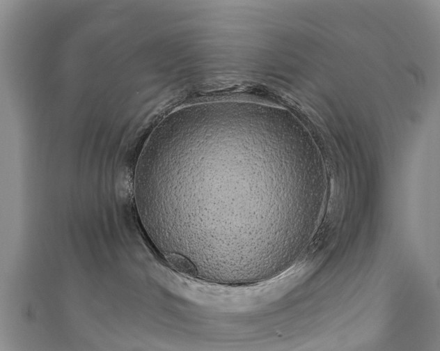 X0000110960048200906261350