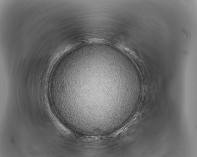 X0000110960049200906261350