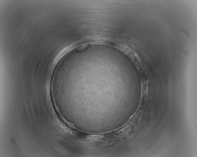 X0000110960051200906261350