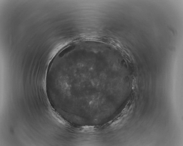 X0000110960052200906261350