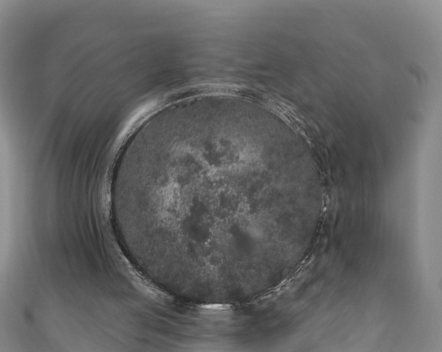 X0000110960053200906261350