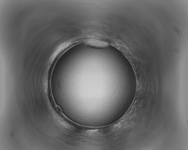 X0000110960054200906261350