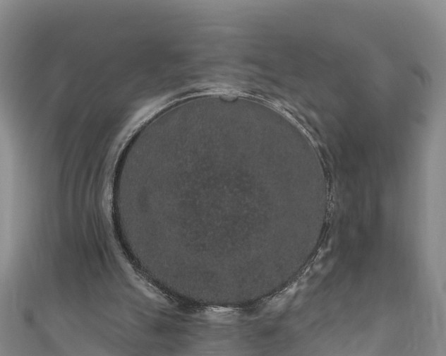 X0000110960055200906261350