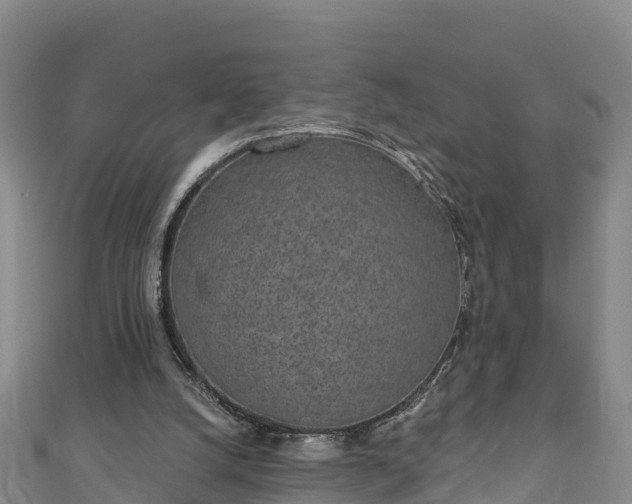 X0000110960056200906261350