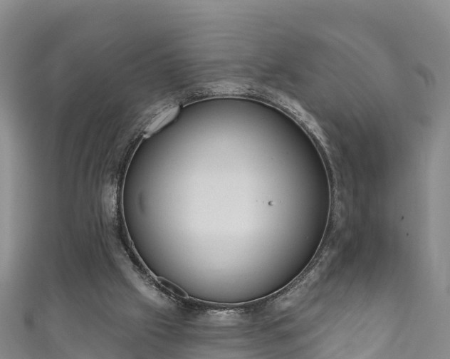 X0000110960057200906261350