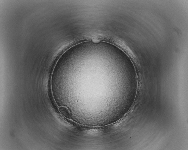 X0000110960058200906261350