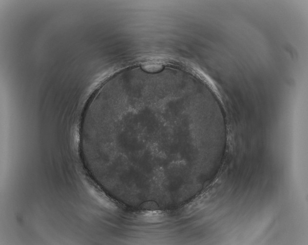 X0000110960059200906261350