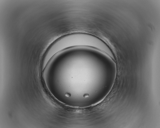 X0000110960060200906261350