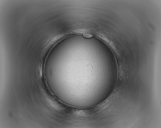 X0000110960062200906261350