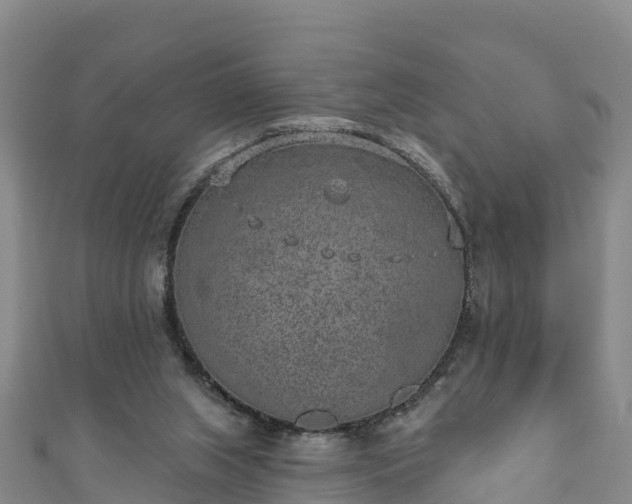 X0000110960063200906261350