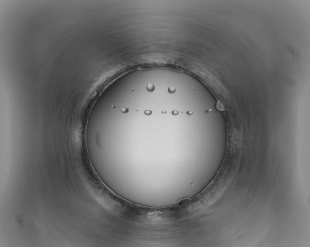 X0000110960064200906261350