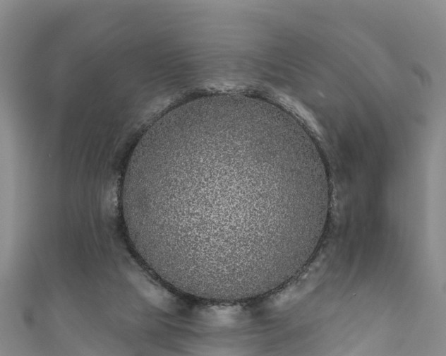 X0000110960065200906261350