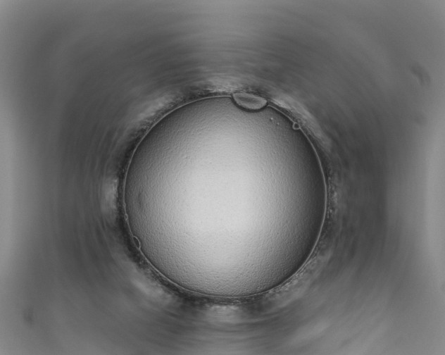 X0000110960066200906261350