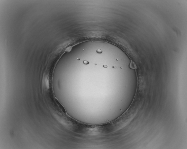 X0000110960068200906261350