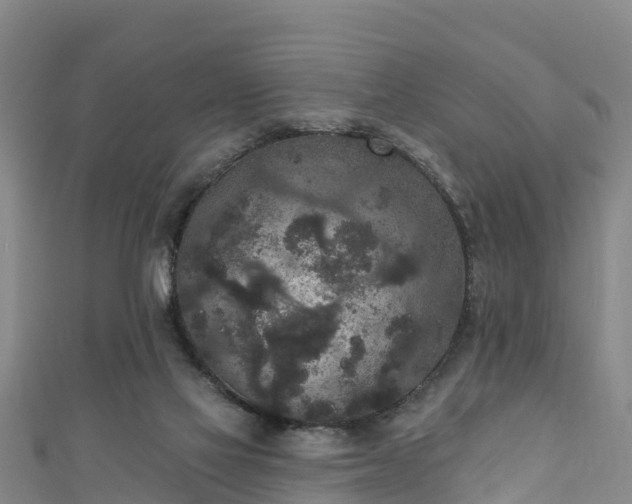 X0000110960069200906261350