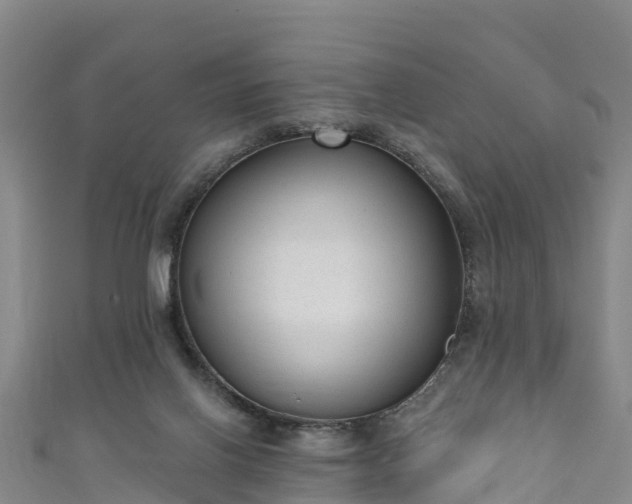 X0000110960070200906261350