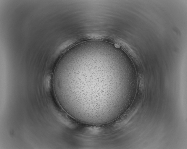 X0000110960071200906261350