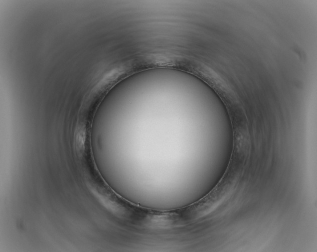 X0000110960072200906261350