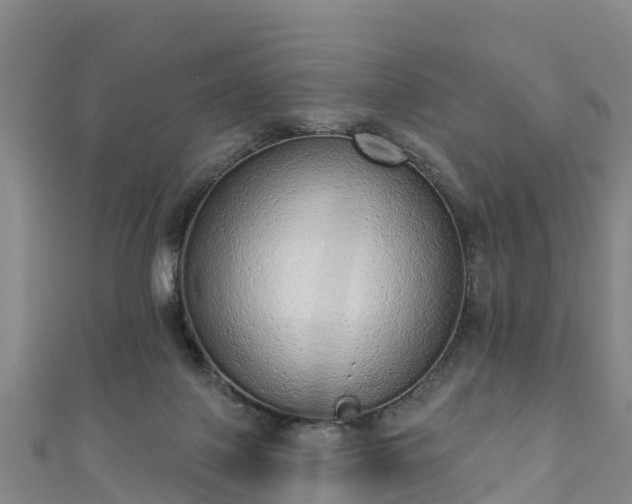 X0000110960075200906261350