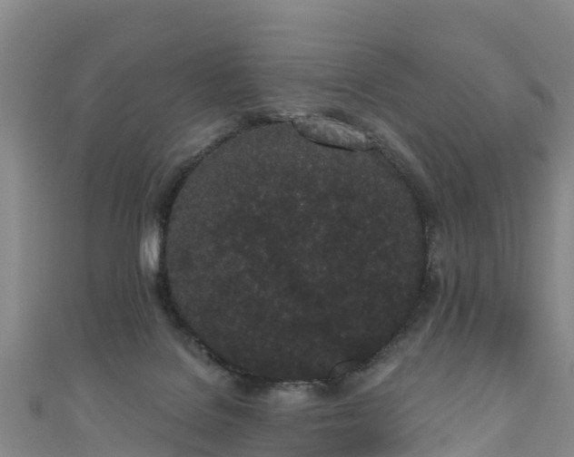 X0000110960076200906261350