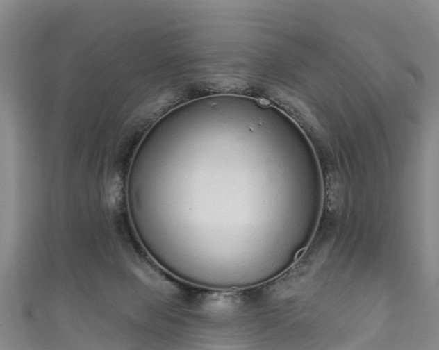 X0000110960077200906261350