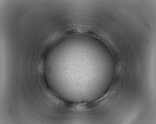 X0000110960078200906261350