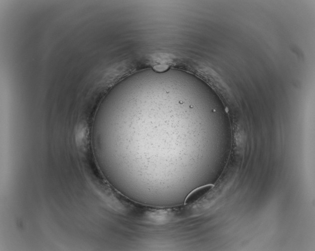 X0000110960079200906261350