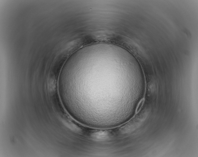 X0000110960081200906261350