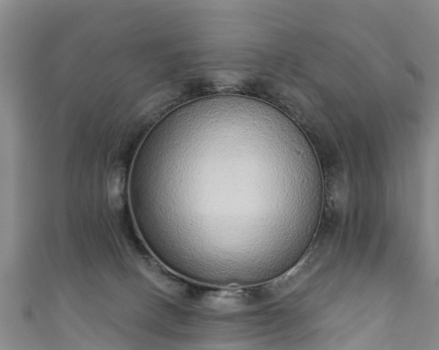 X0000110960082200906261350