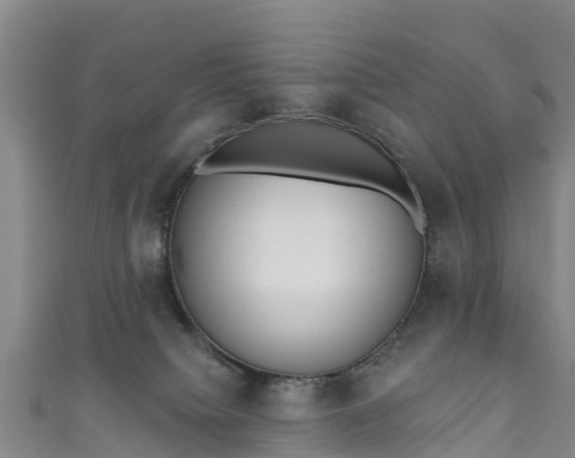 X0000110960084200906261350