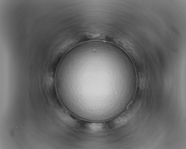 X0000110960085200906261350