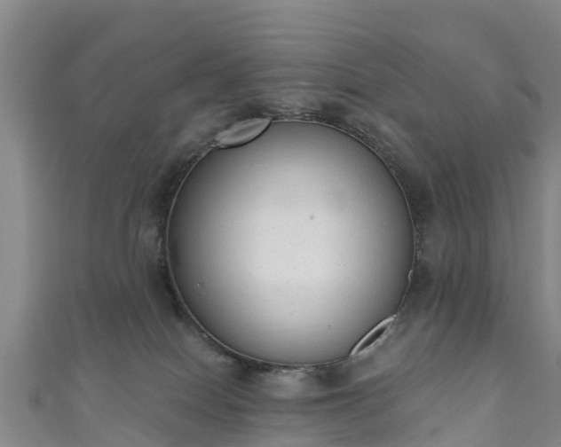 X0000110960086200906261350