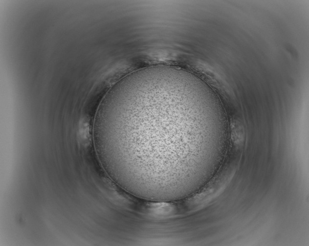 X0000110960087200906261350