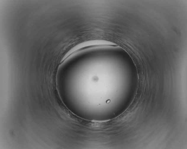 X0000110960088200906261350