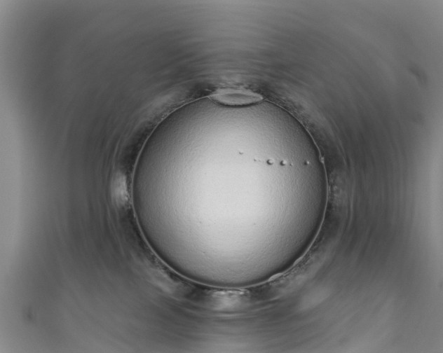 X0000110960089200906261350