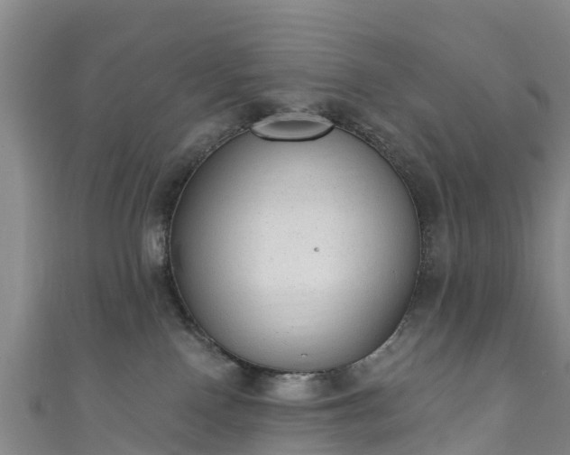 X0000110960090200906261350