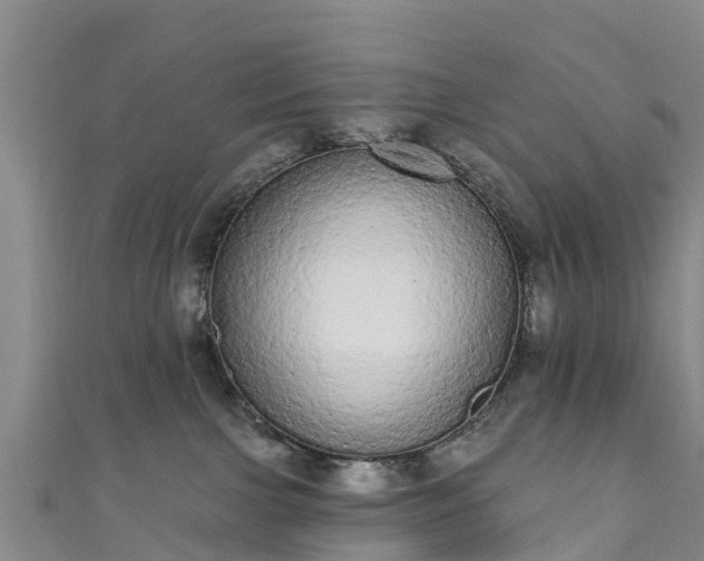 X0000110960091200906261350