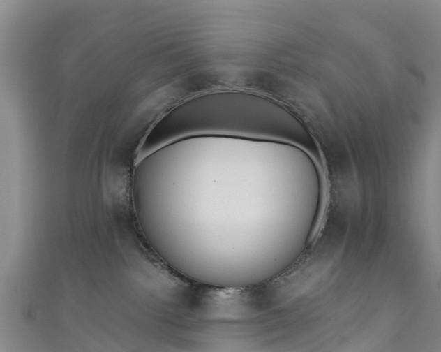 X0000110960092200906261350