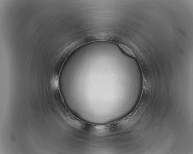 X0000110960095200906261350