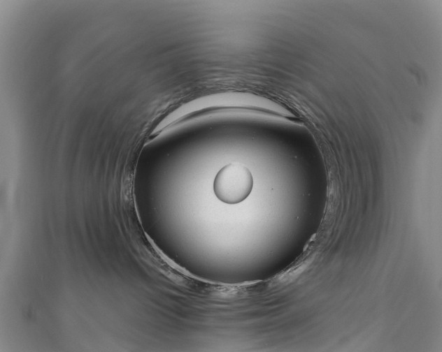 X0000110960096200906261350