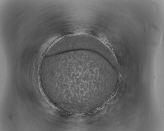 X0000110960097200906261350