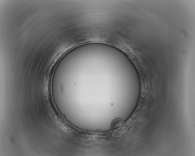 X0000110960098200906261350