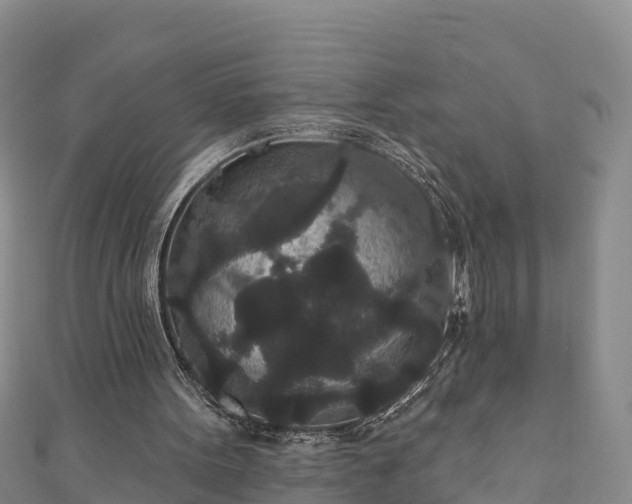 X0000110960099200906261350