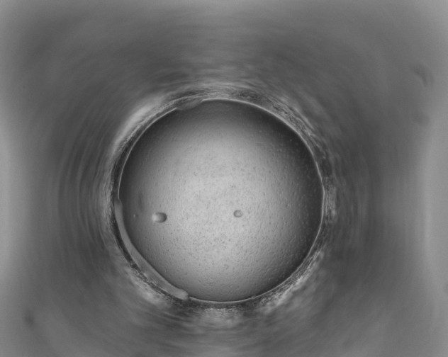 X0000110960101200906261350