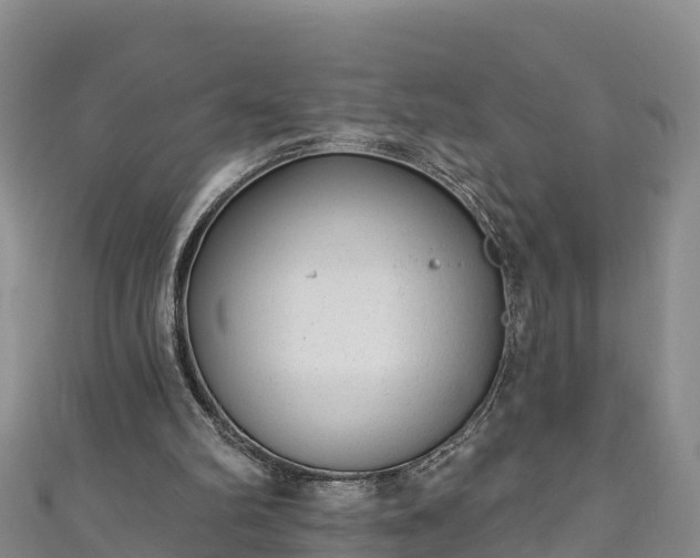 X0000110960102200906261350