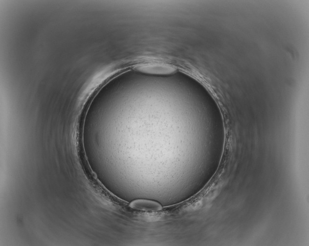 X0000110960103200906261350