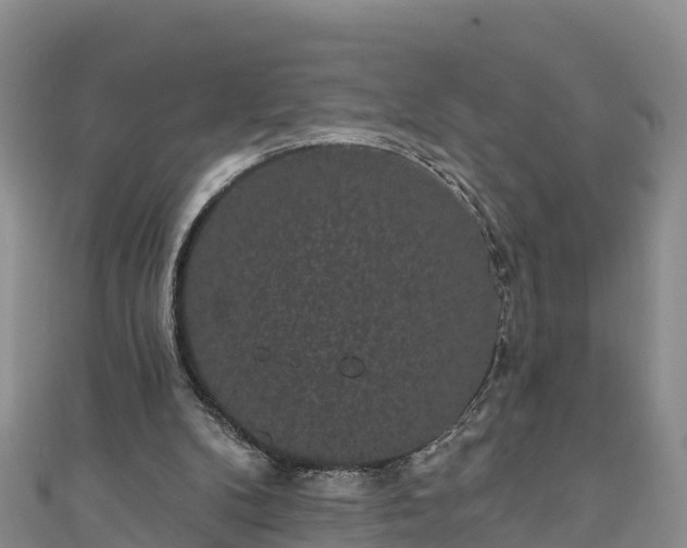 X0000110960104200906261350