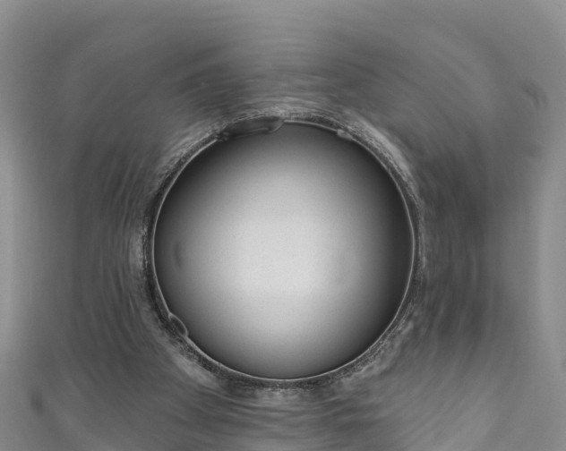 X0000110960105200906261350