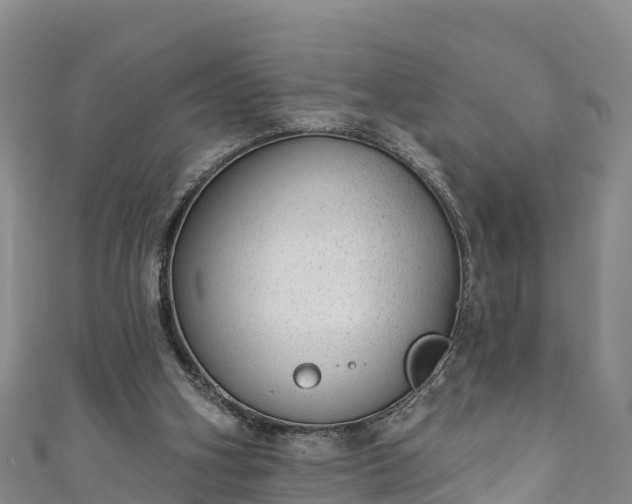 X0000110960106200906261350